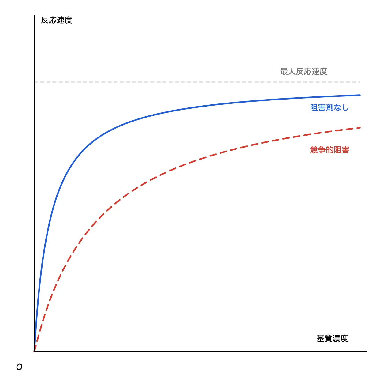 基質濃度と反応速度のグラフ。阻害剤なしの曲線と、破線の競争的阻害の曲線、最大反応速度の補助線