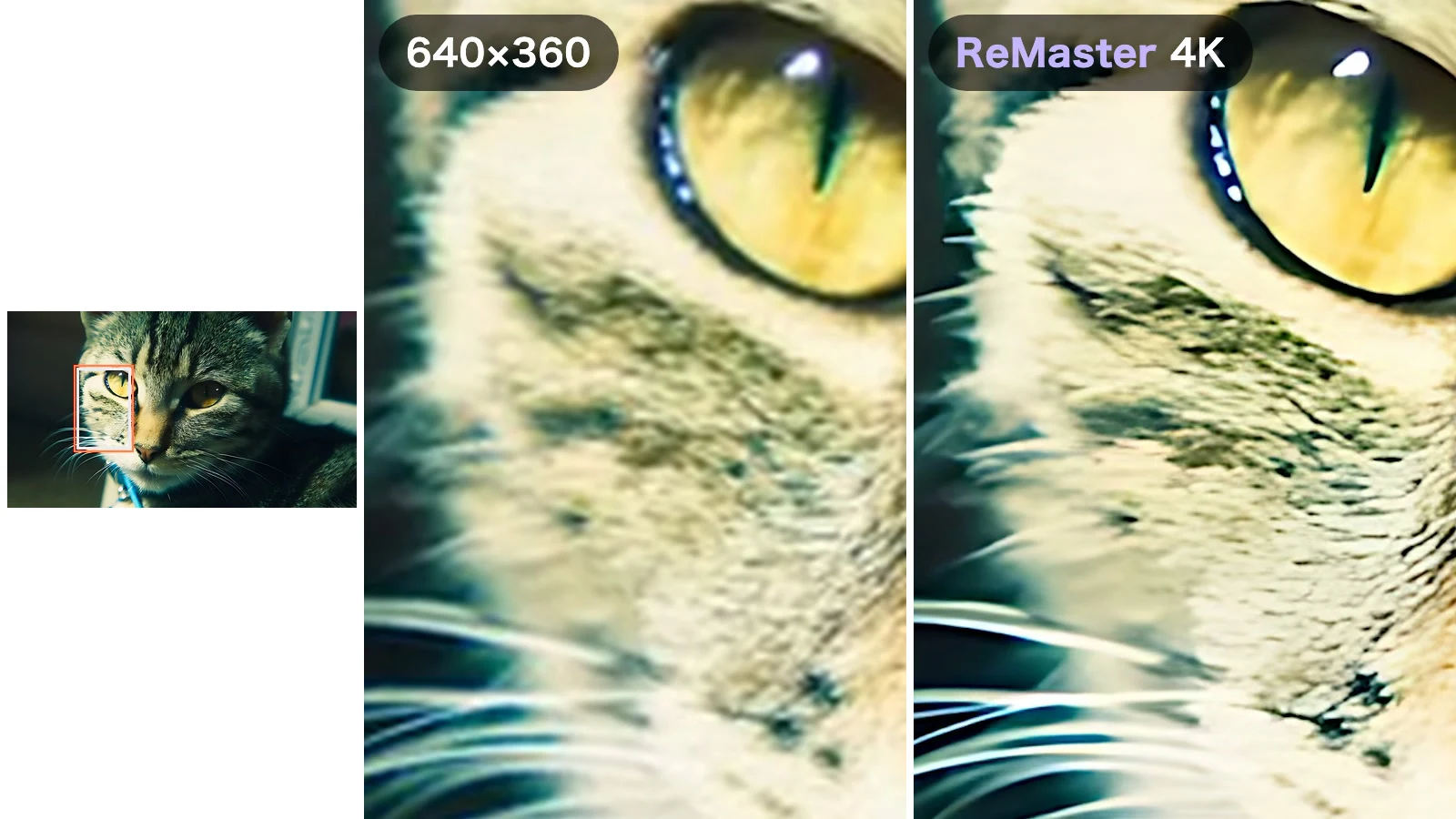 Left: the whole frame with a box marking the cropped area. Middle: the original. Right: the same area enlarged to 4K with ReMaster